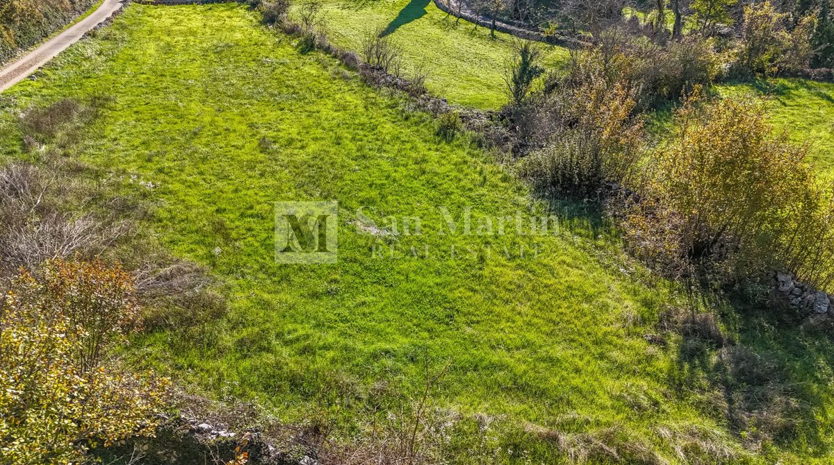 Kanfanar, dintorni - terreno con permesso di costruzione circondato dalla natura