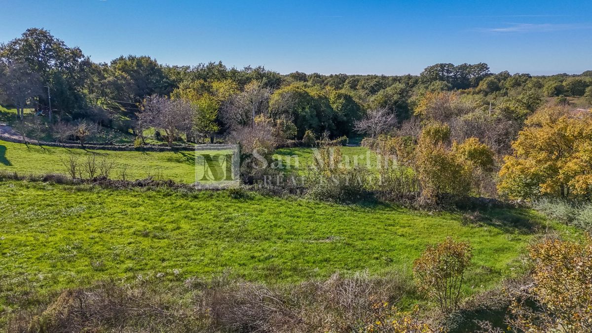 Kanfanar, dintorni - terreno con permesso di costruzione circondato dalla natura