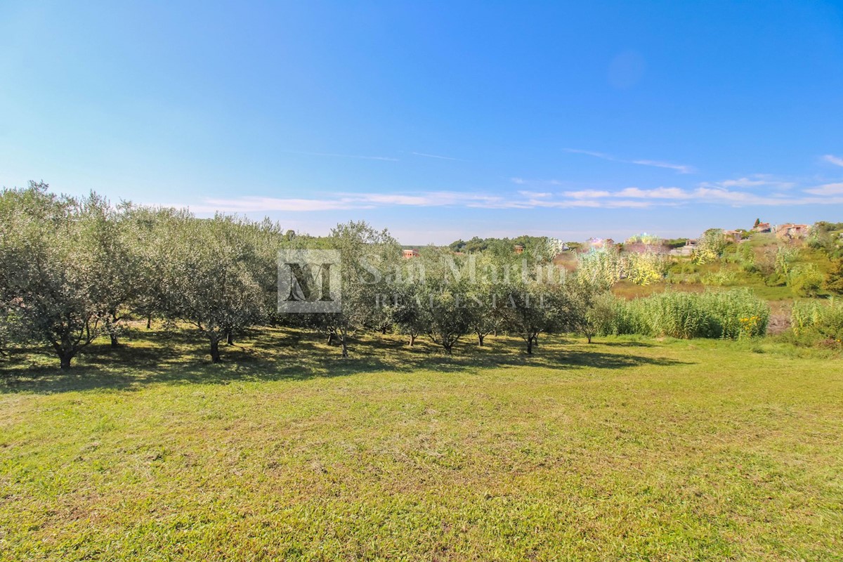 Parenzo, dintorni - terreno edificabile in un posto tranquillo e bellissimo