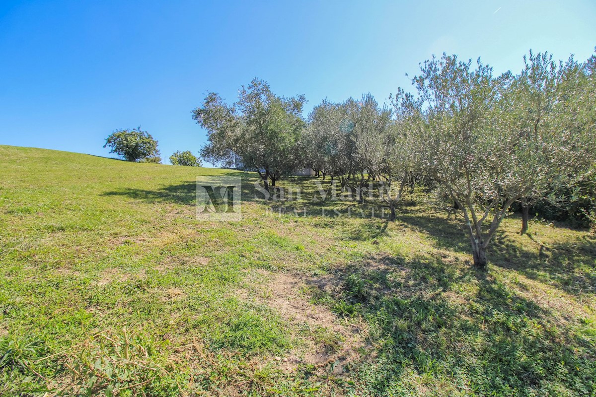 Parenzo, dintorni - terreno edificabile in un posto tranquillo e bellissimo