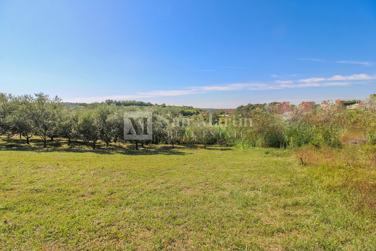 Parenzo, dintorni - terreno edificabile in un posto tranquillo e bellissimo