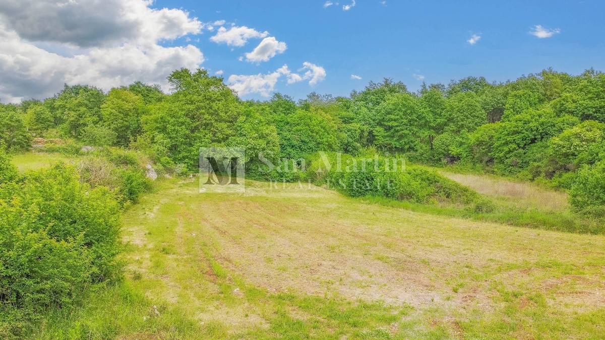 Canfanaro - terra soleggiata in un piccolo villaggio