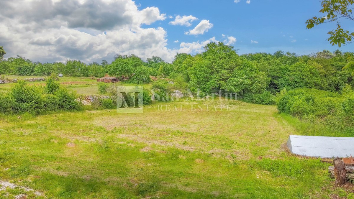 Canfanaro - terra soleggiata in un piccolo villaggio