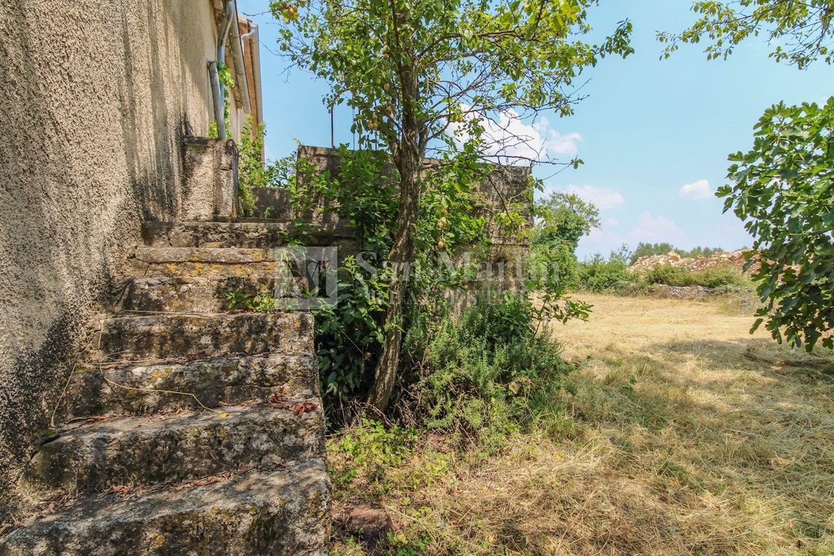 Rovigno-dintorni, casa autoctona con amppio giardino