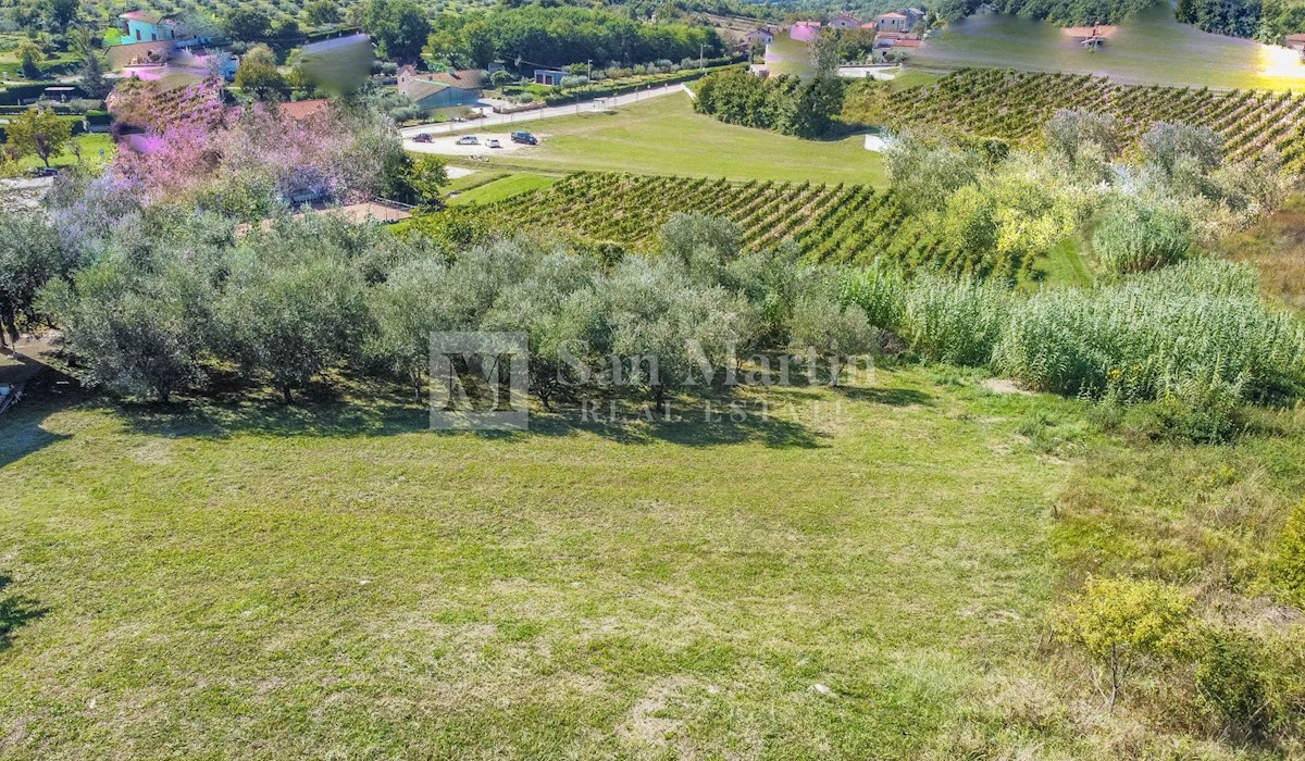 Parenzo, dintorni - terreno edificabile con vista aperta