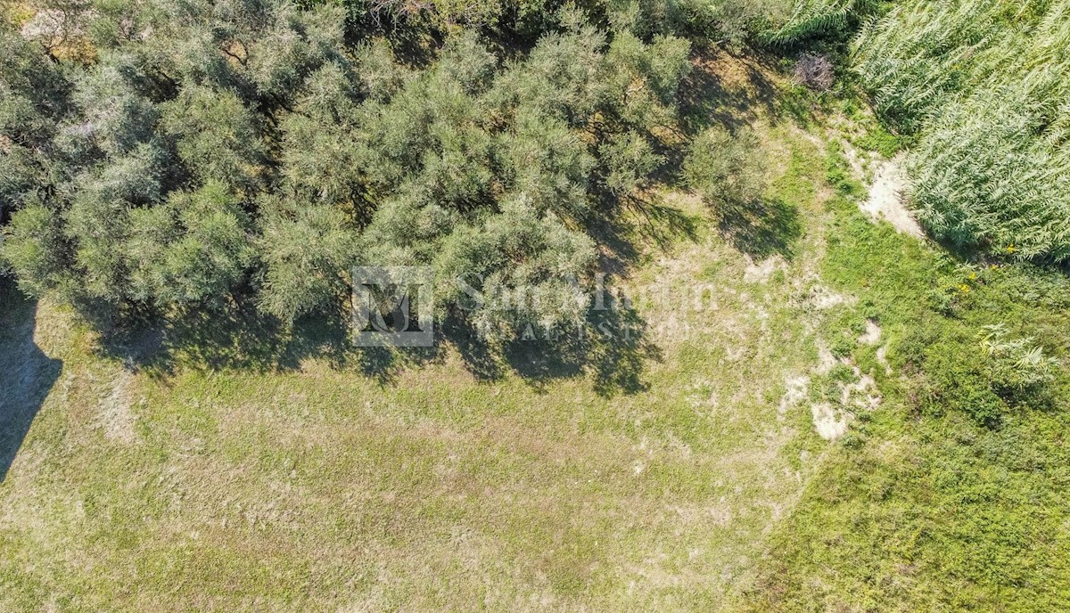 Parenzo, dintorni - terreno edificabile con vista aperta