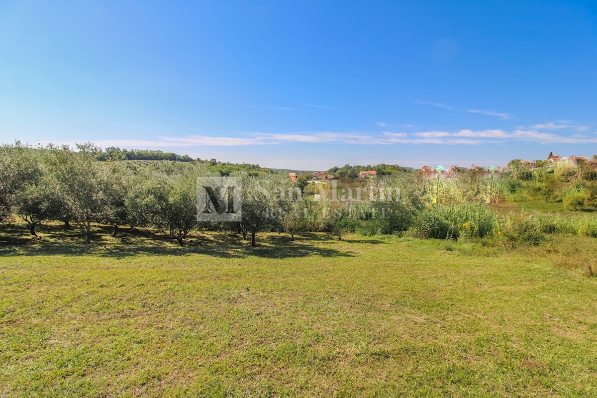 Parenzo, dintorni - terreno edificabile con vista aperta