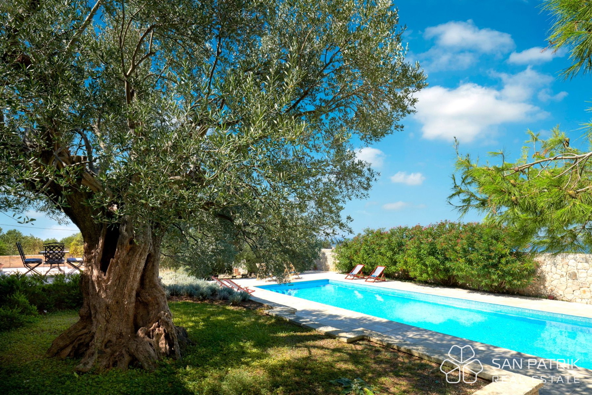 Villa autoctona tra ulivi millenari sull'isola di Pag