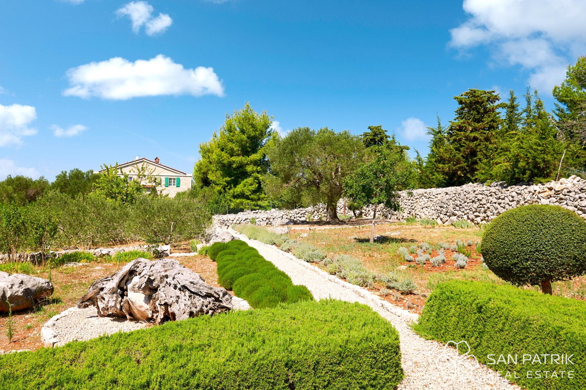 Villa autoctona tra ulivi millenari sull'isola di Pag