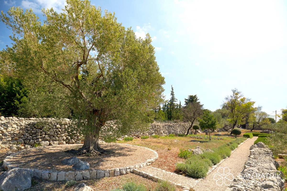 Villa autoctona tra ulivi millenari sull'isola di Pag