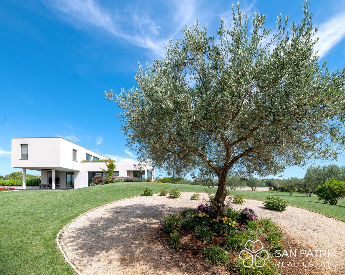 Villa mediterranea con piscina e vista mare a Umag