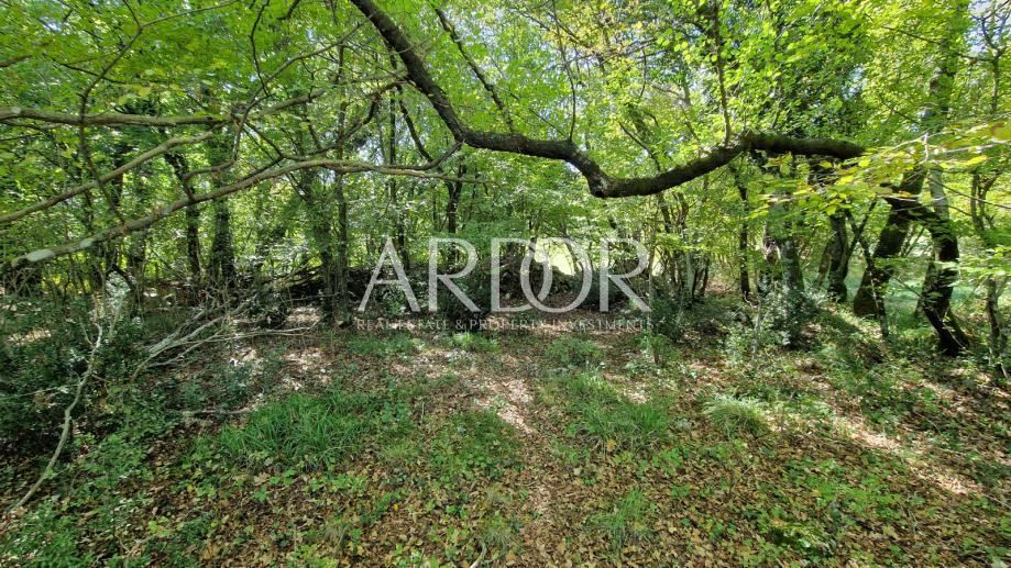 Terreno Čavle, 5.292m2