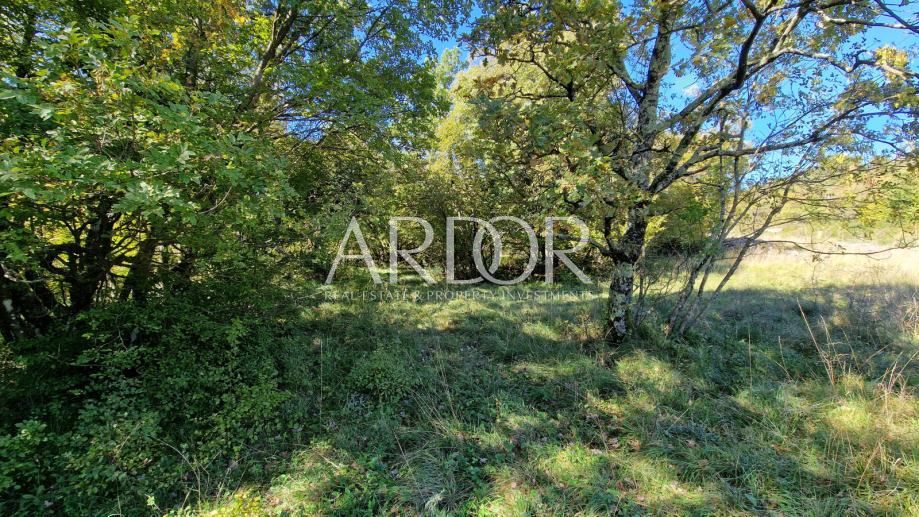 Terreno Čavle, 5.292m2