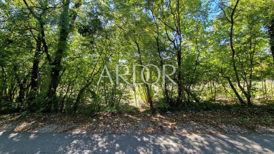 Terreno Čavle, 5.292m2