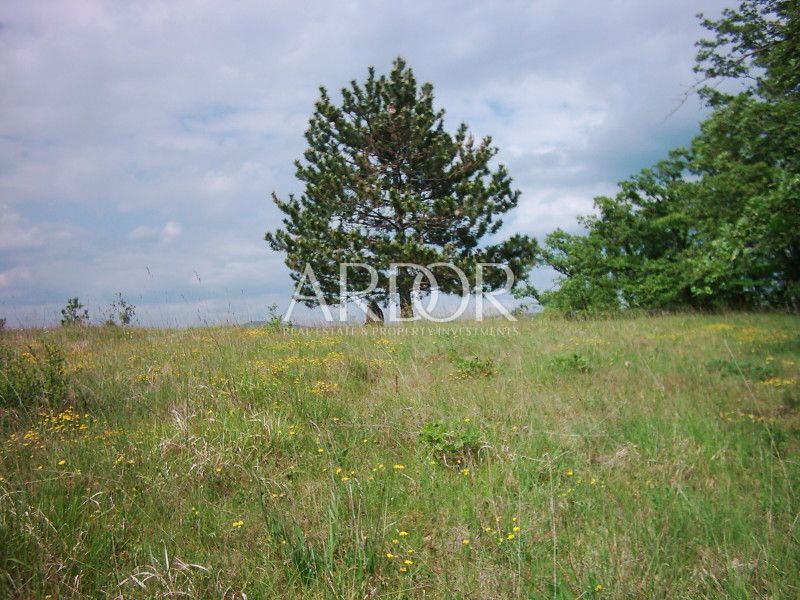 Terreno Lesišćina, Lupoglav, 83.294m2
