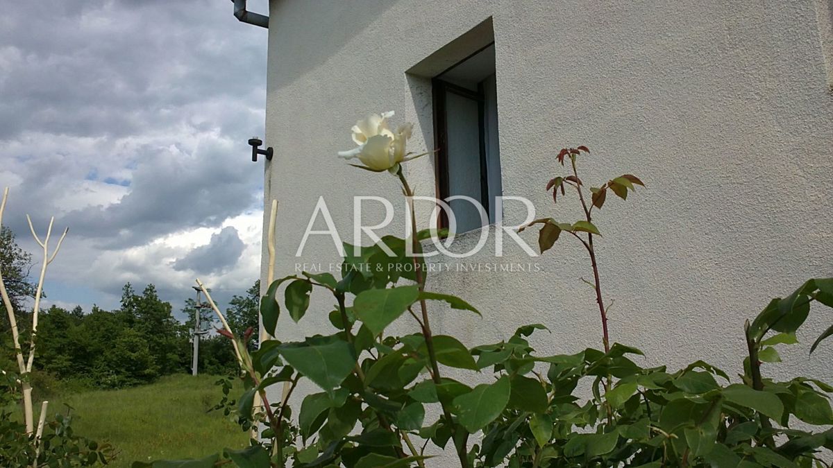 Terreno Lesišćina, Lupoglav, 83.294m2