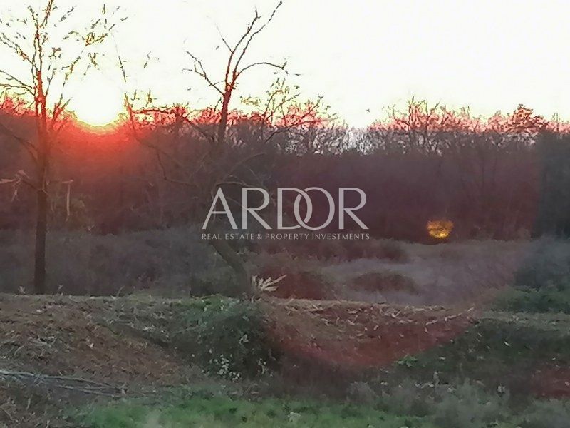 Terreno Tar, Tar-Vabriga, 15.360m2
