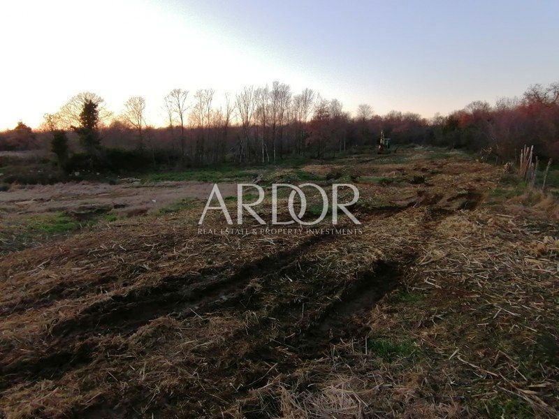 Terreno Tar, Tar-Vabriga, 15.360m2