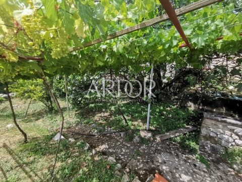 Casa Grižane-Belgrad, Vinodolska Općina, 220m2