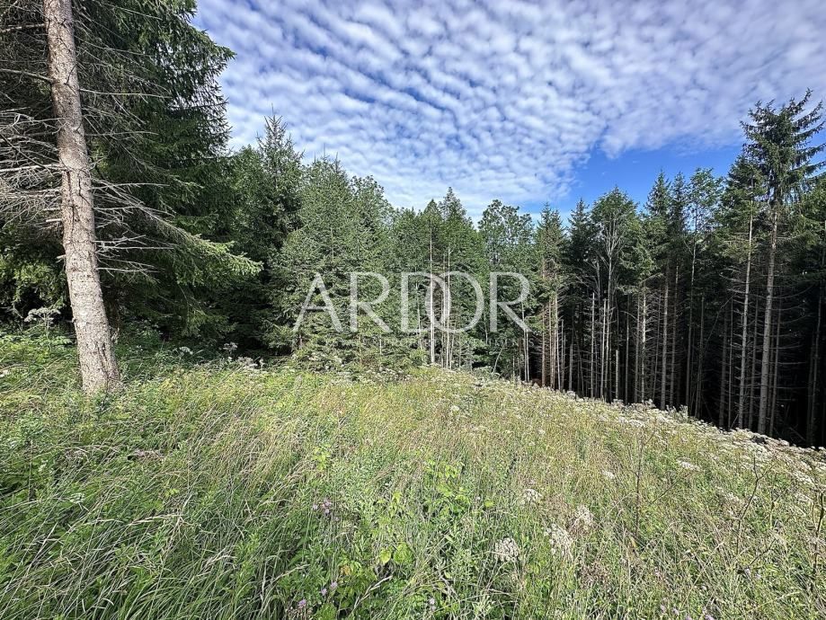 Terreno Ravna Gora, 3.980m2