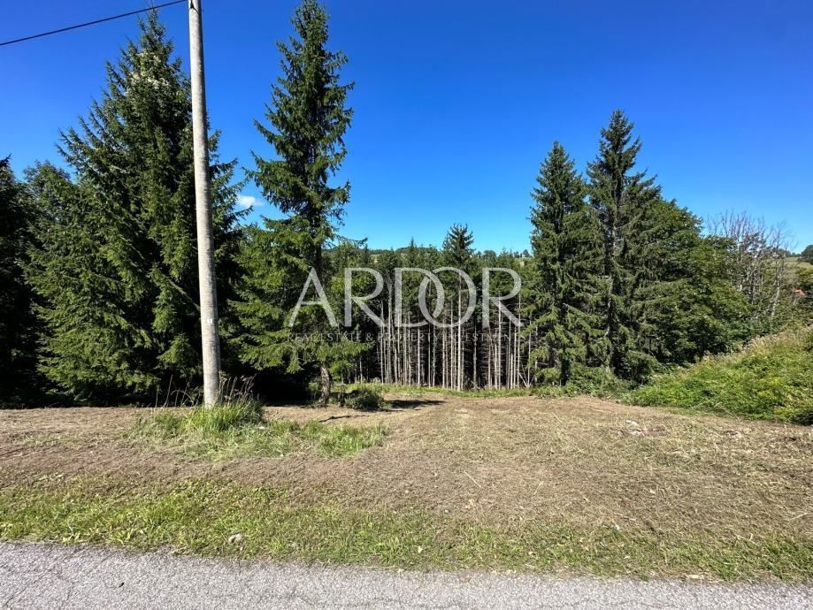 Terreno Ravna Gora, 3.980m2