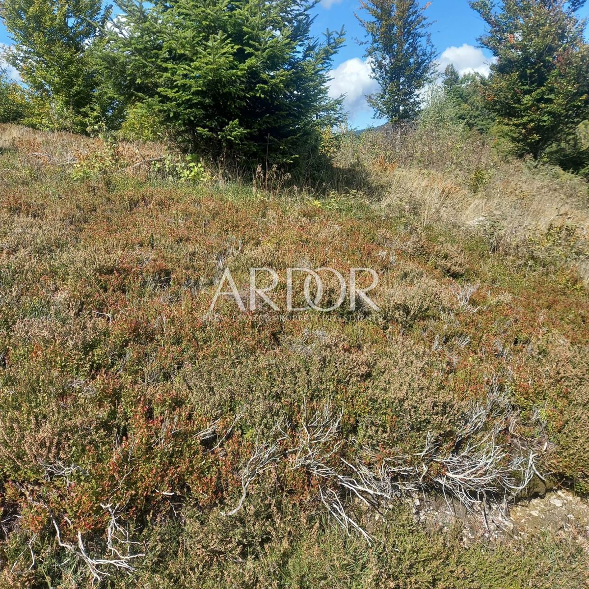 Terreno Sunger, Mrkopalj, 670m2