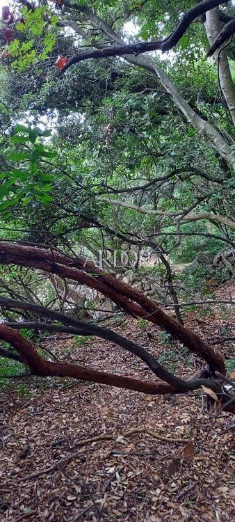 Terreno Ustrine, Mali Lošinj, 1.300m2