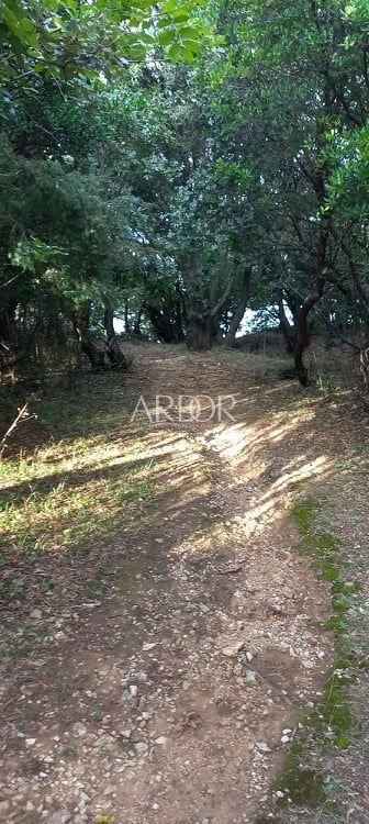 Terreno Ustrine, Mali Lošinj, 1.300m2