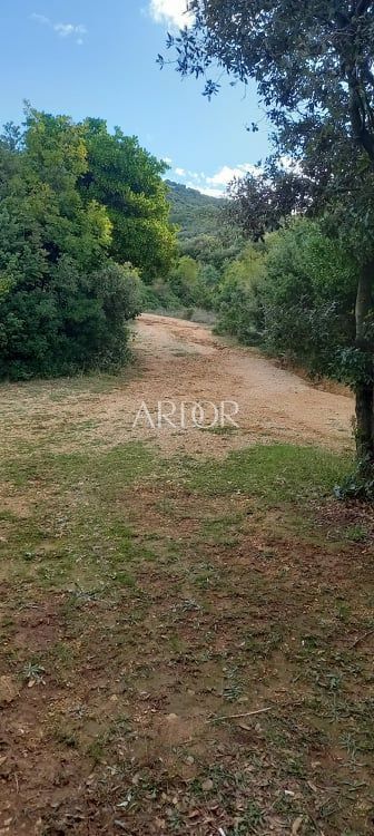 Terreno Ustrine, Mali Lošinj, 1.300m2