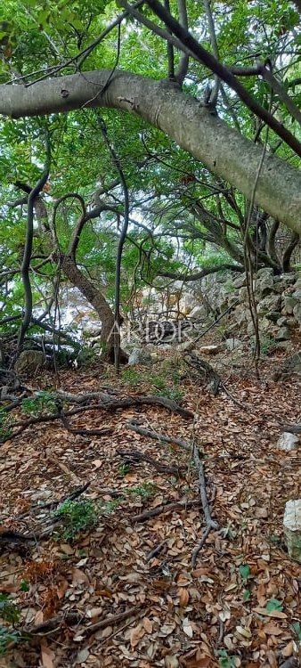 Terreno Ustrine, Mali Lošinj, 1.300m2