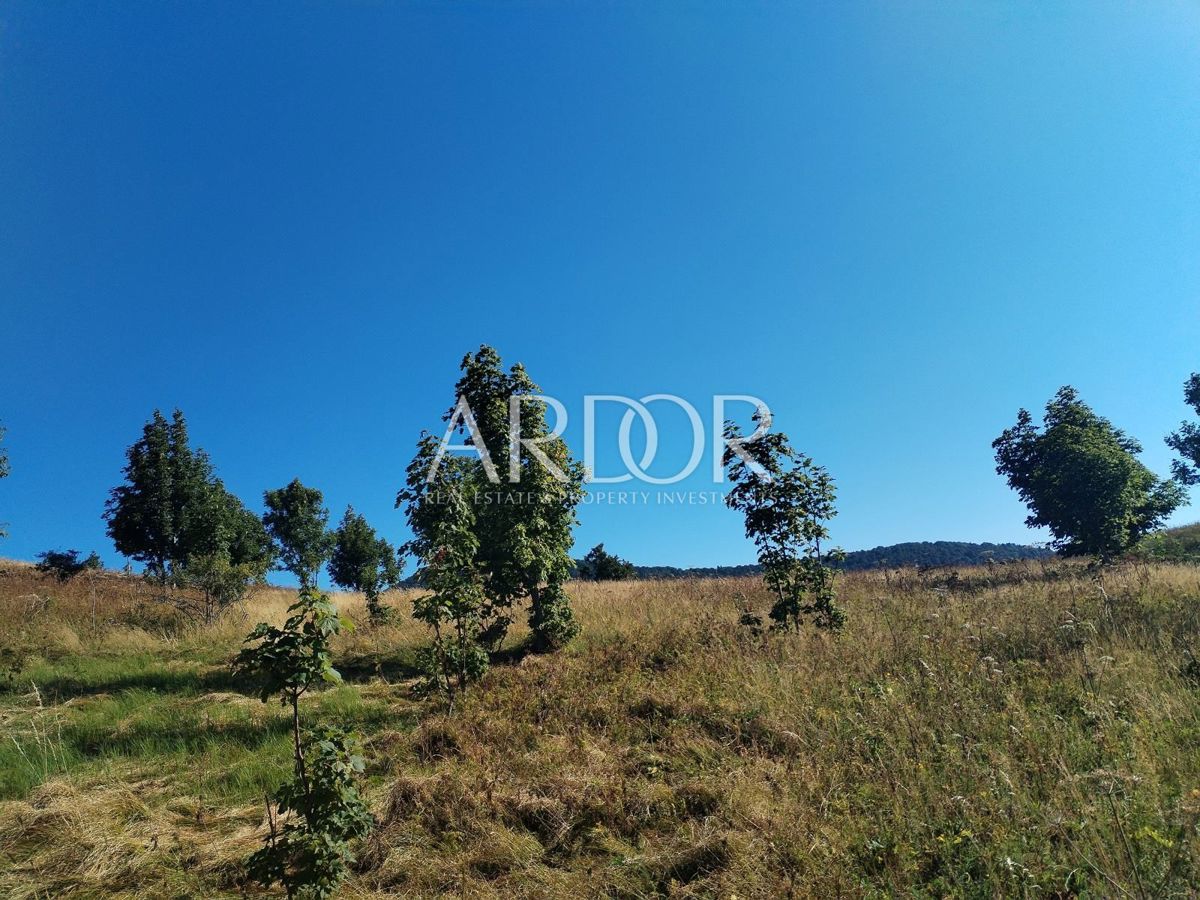 Terreno Begovo Razdolje, Mrkopalj, 5.000m2