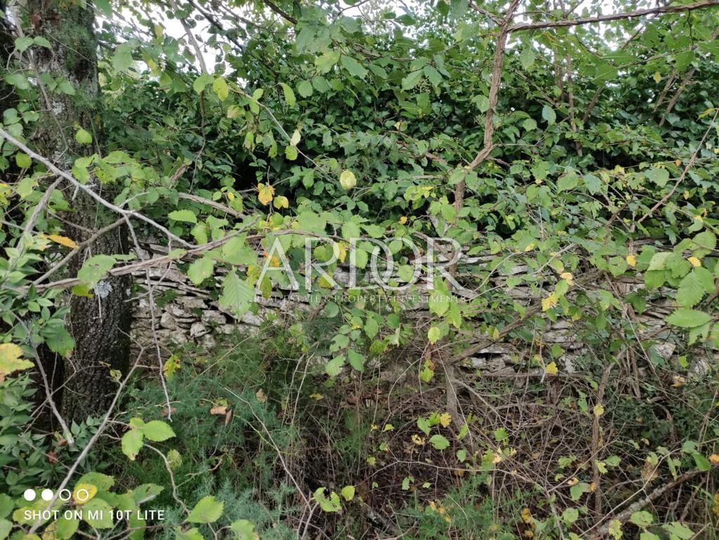 Terreno Barban, 2.345m2