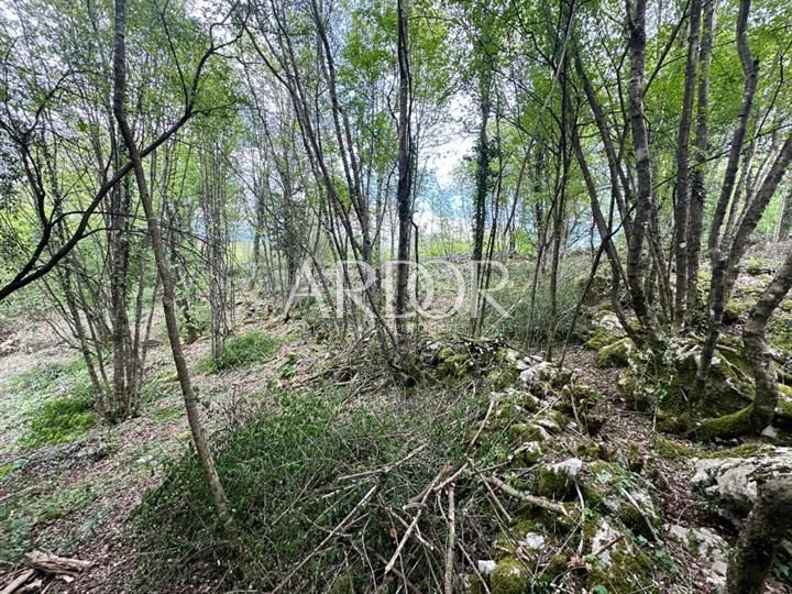 Terreno Veli Brgud, Matulji, 1.589m2