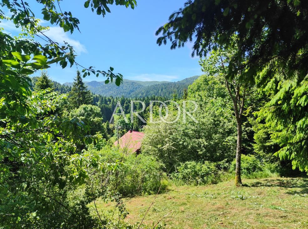 Terreno Brestova Draga, Mrkopalj, 622m2