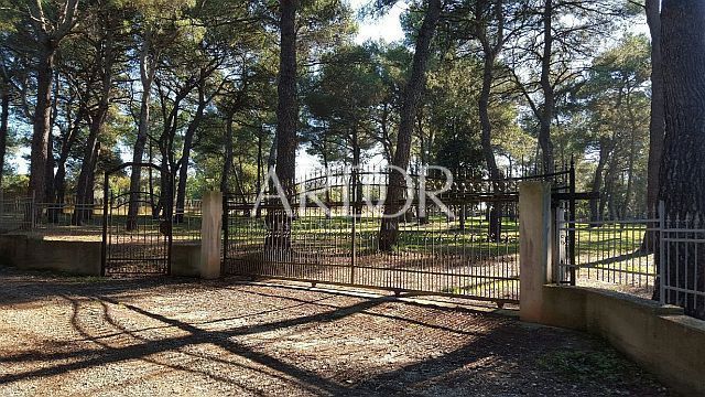 Terreno Rovinj, 12.050m2