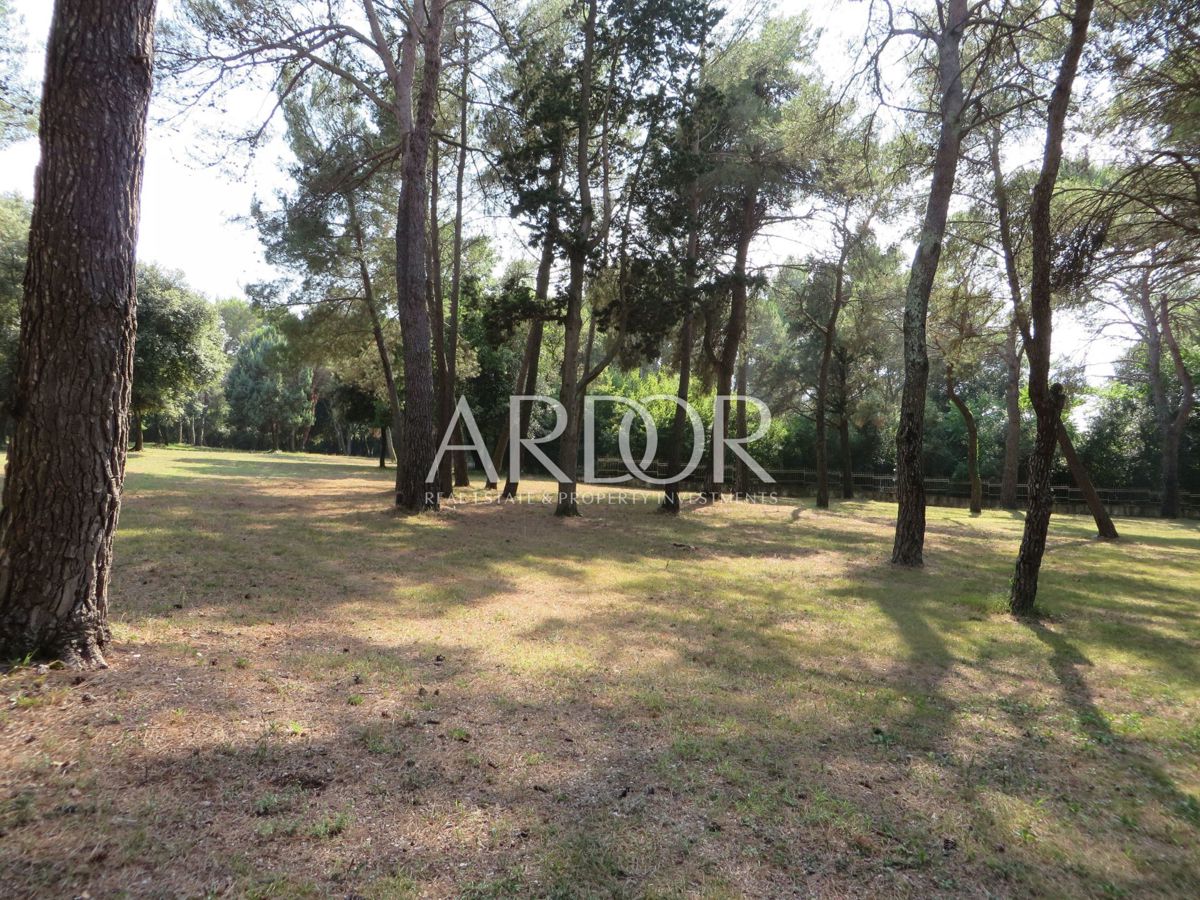 Terreno Rovinj, 12.050m2