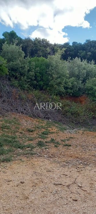 Terreno Ustrine, Mali Lošinj, 5.401m2