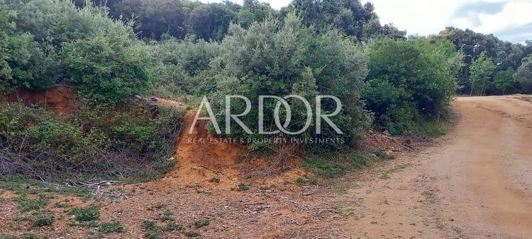 Terreno Ustrine, Mali Lošinj, 5.401m2