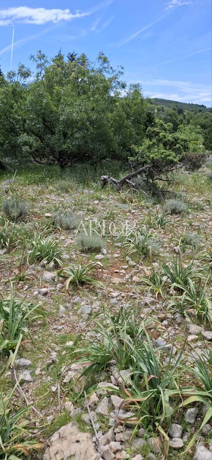 Terreno Barbat na Rabu, Rab, 2.377m2