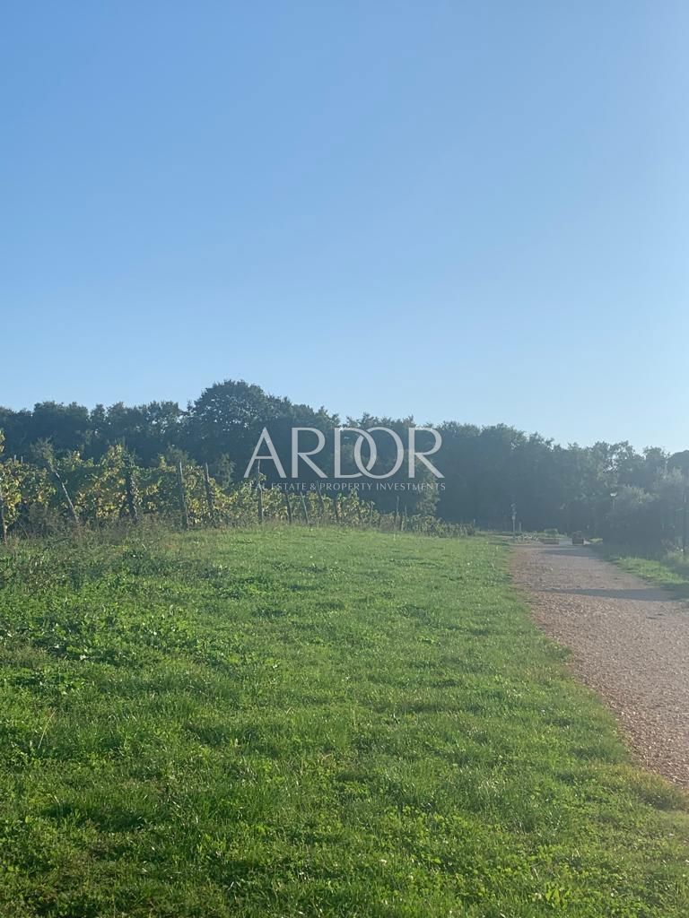 Terreno Butoniga, Pazin - Okolica, 44.000m2