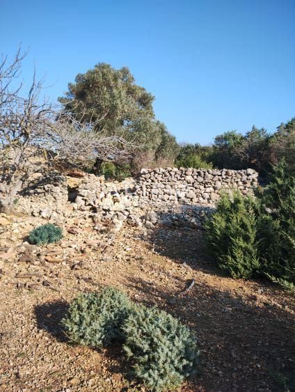 Terreno Osor, Mali Lošinj, 7.000m2