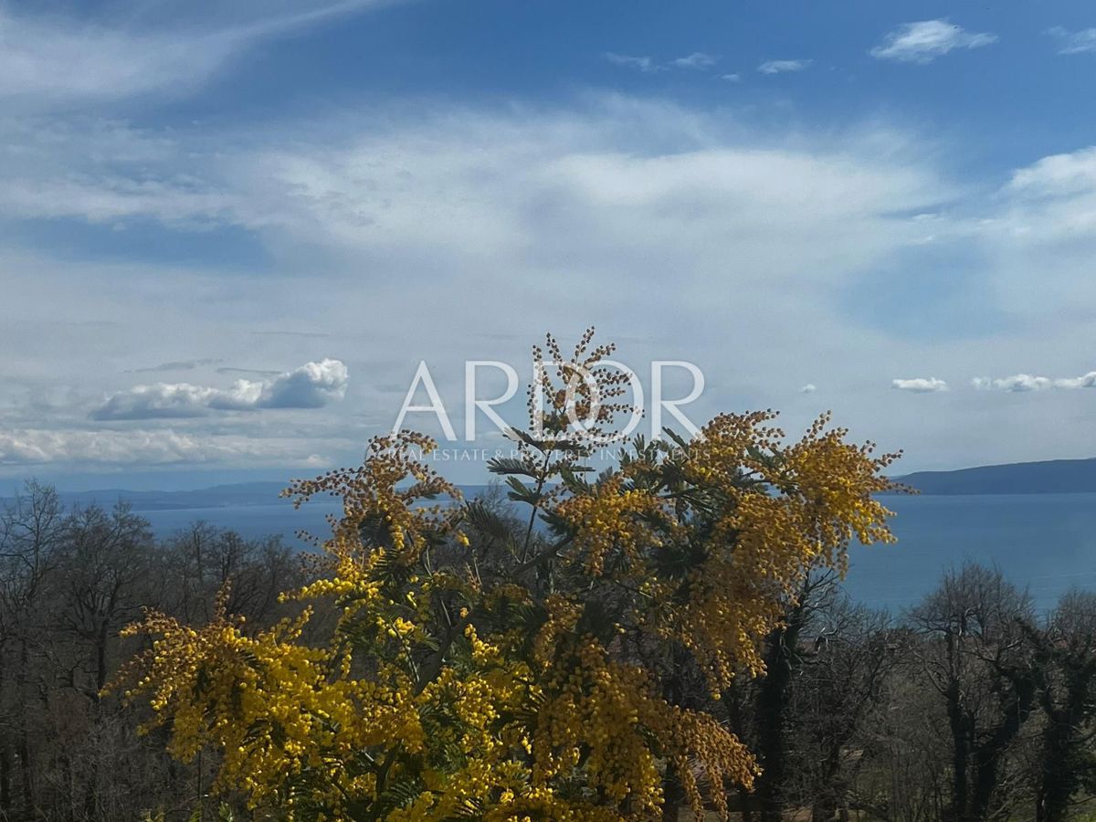 Casa Poljane, Opatija - Okolica, 567m2