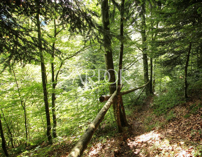 Terreno Lokve, 2.521m2