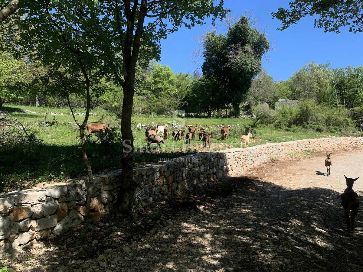 OPATIJA RIVIERA, un complesso di ville unico su 54.000 m2