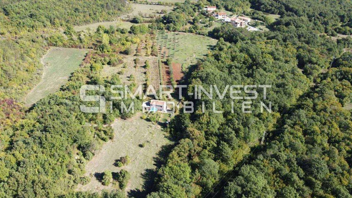 ISTRIA - RABAC, Estate of 27.800 m2 with an old stone house, 4 km to the sea