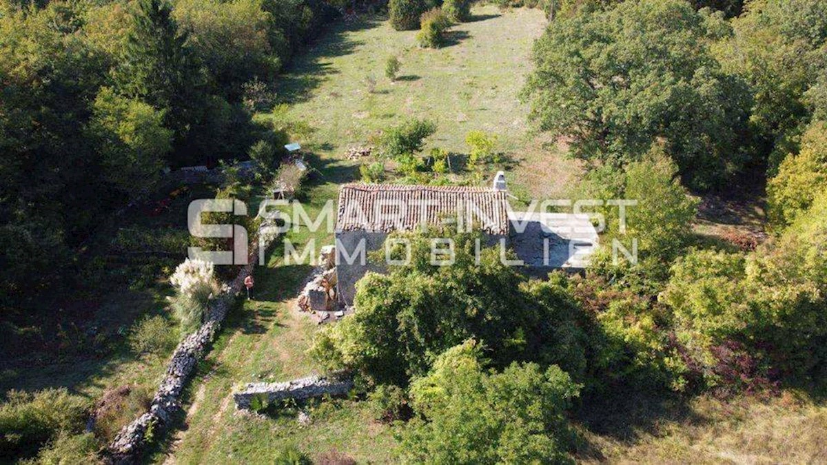 ISTRIA - RABAC, Estate of 27.800 m2 with an old stone house, 4 km to the sea