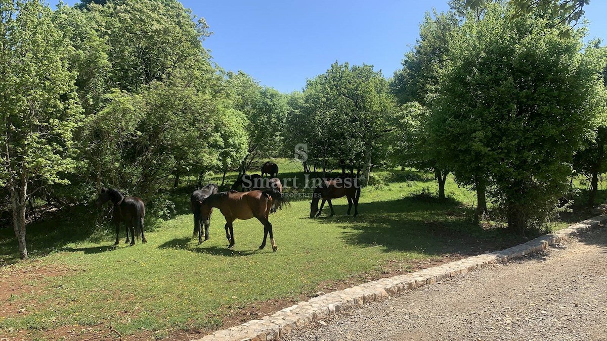 Terreno Kalac, Mošćenička Draga, 2.700m2