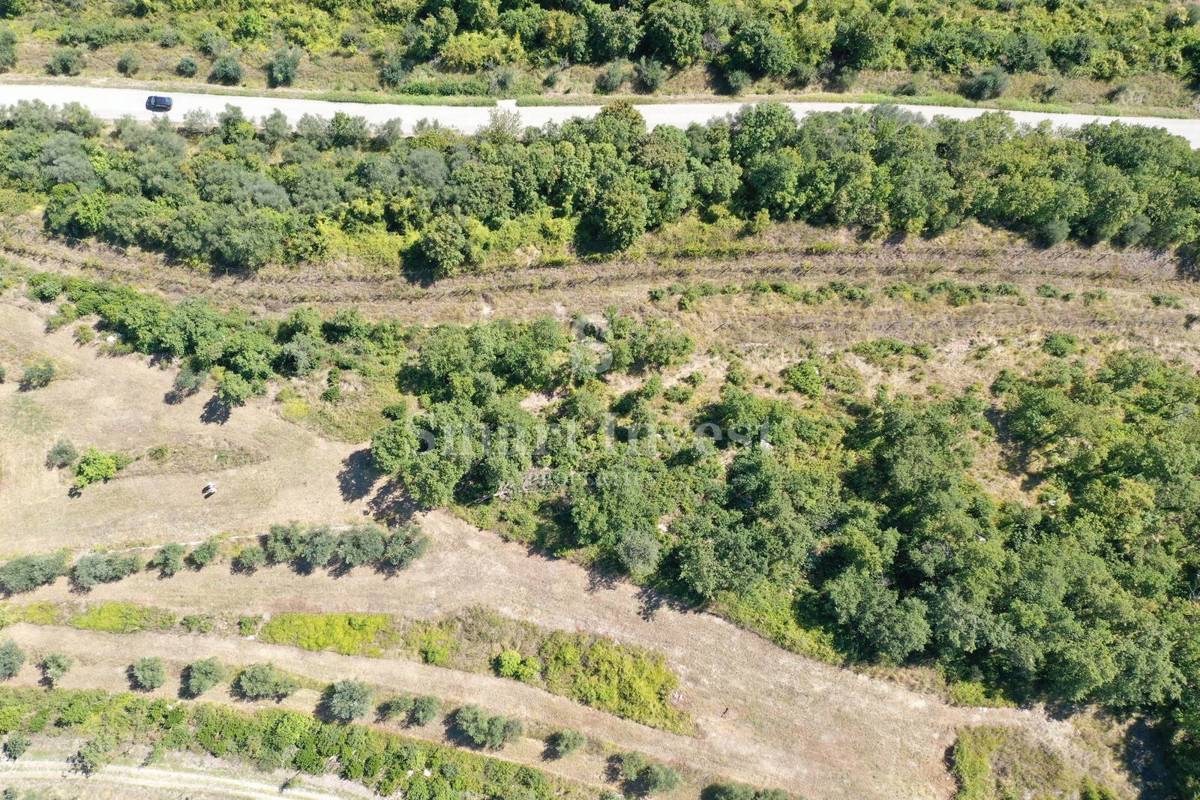 ISTRIA - BUIE, vecchie case su un terreno di 16.691 m2