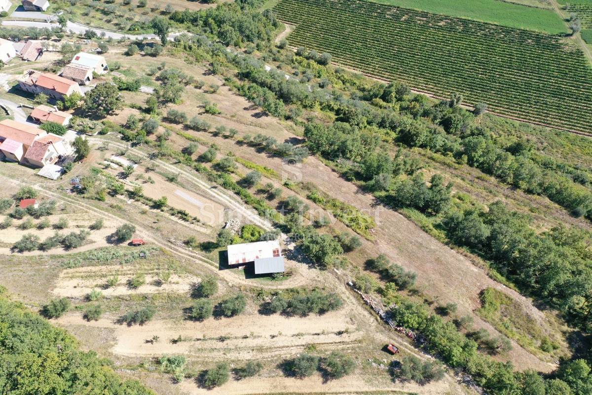 ISTRIA - BUIE, vecchie case su un terreno di 16.691 m2