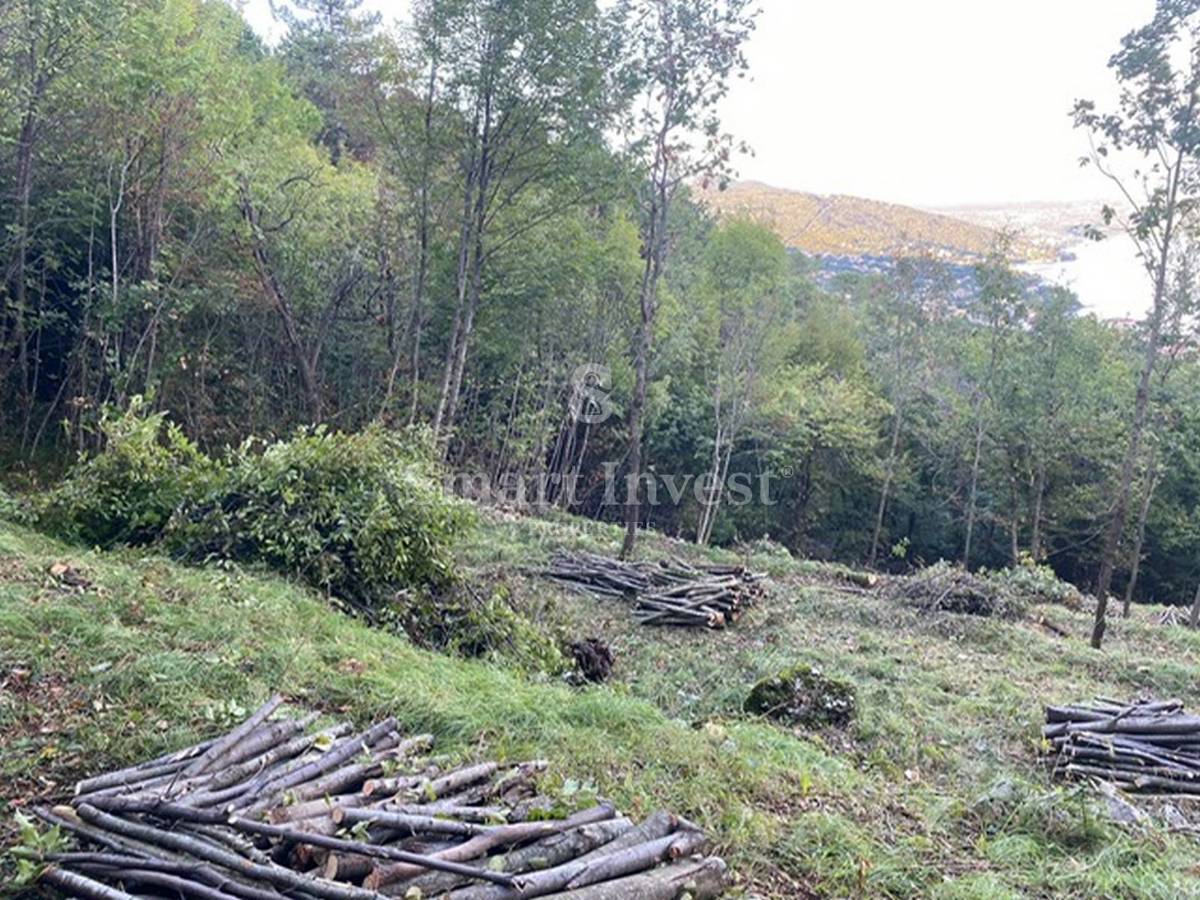 LOVRAN, terreno edificabile di 3055 m2 con vista mare